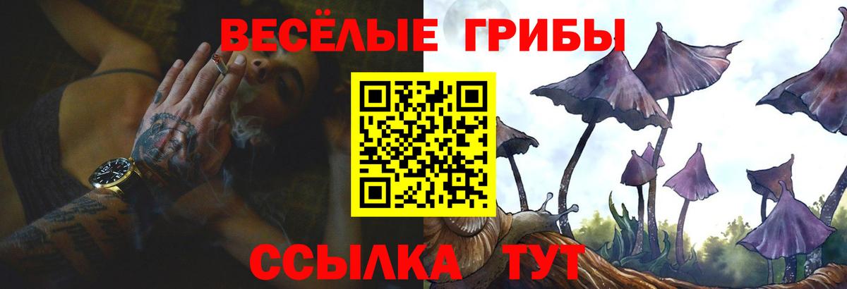 Галлюциногенные грибы Psilocybine cubensis Назрань