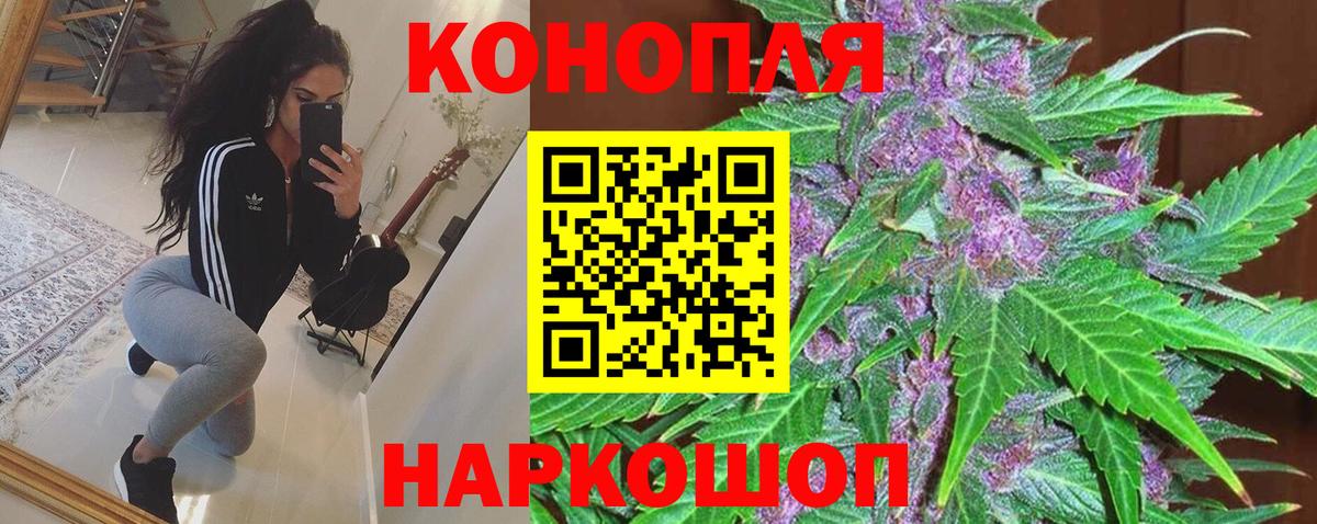 Шишки марихуана план  МАРИХУАНА THC 21%  Назрань  Шишки марихуана планчик  Вход с VPN  Конопля конопля 